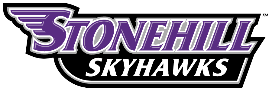 Stonehill Skyhawks 2017-Pres Wordmark Logo diy DTF decal sticker